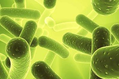 Microbe Oil Displacement Agents